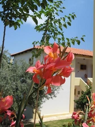 Hotel Heleni Apartments Epidaurus Exterior photo